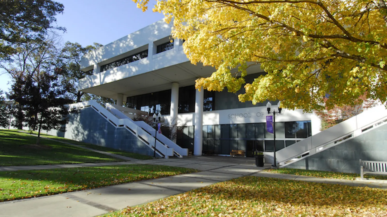 Photo of Emory Law School Building in Fall with tree in foreground