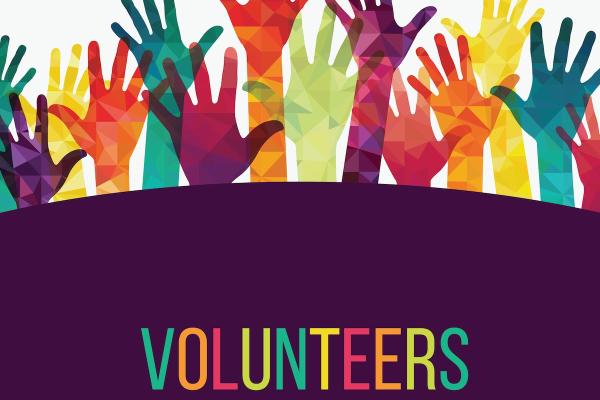 Hands raised to volunteer